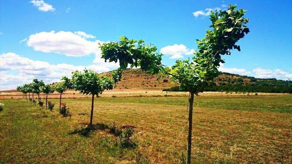 Las Mairas Fuente Encalada ภายนอก รูปภาพ